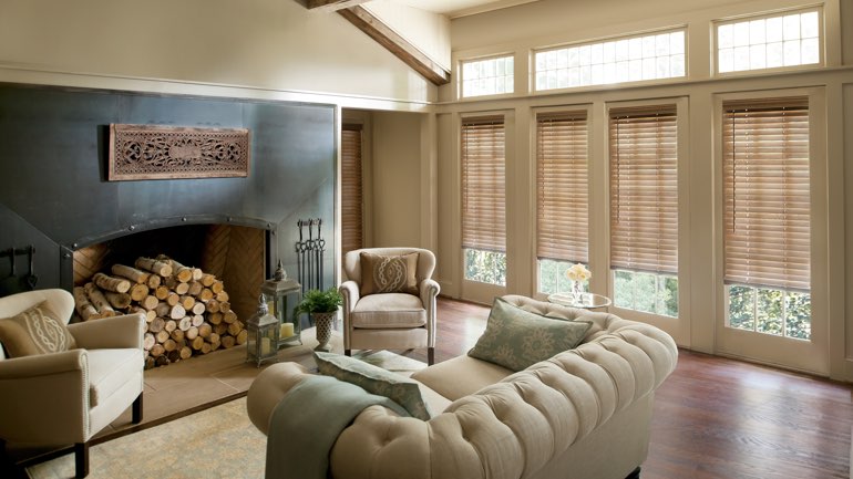 Virginia Beach living room with blinds